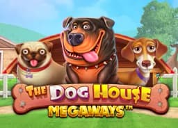 shefascarves: The Dog House Megaways